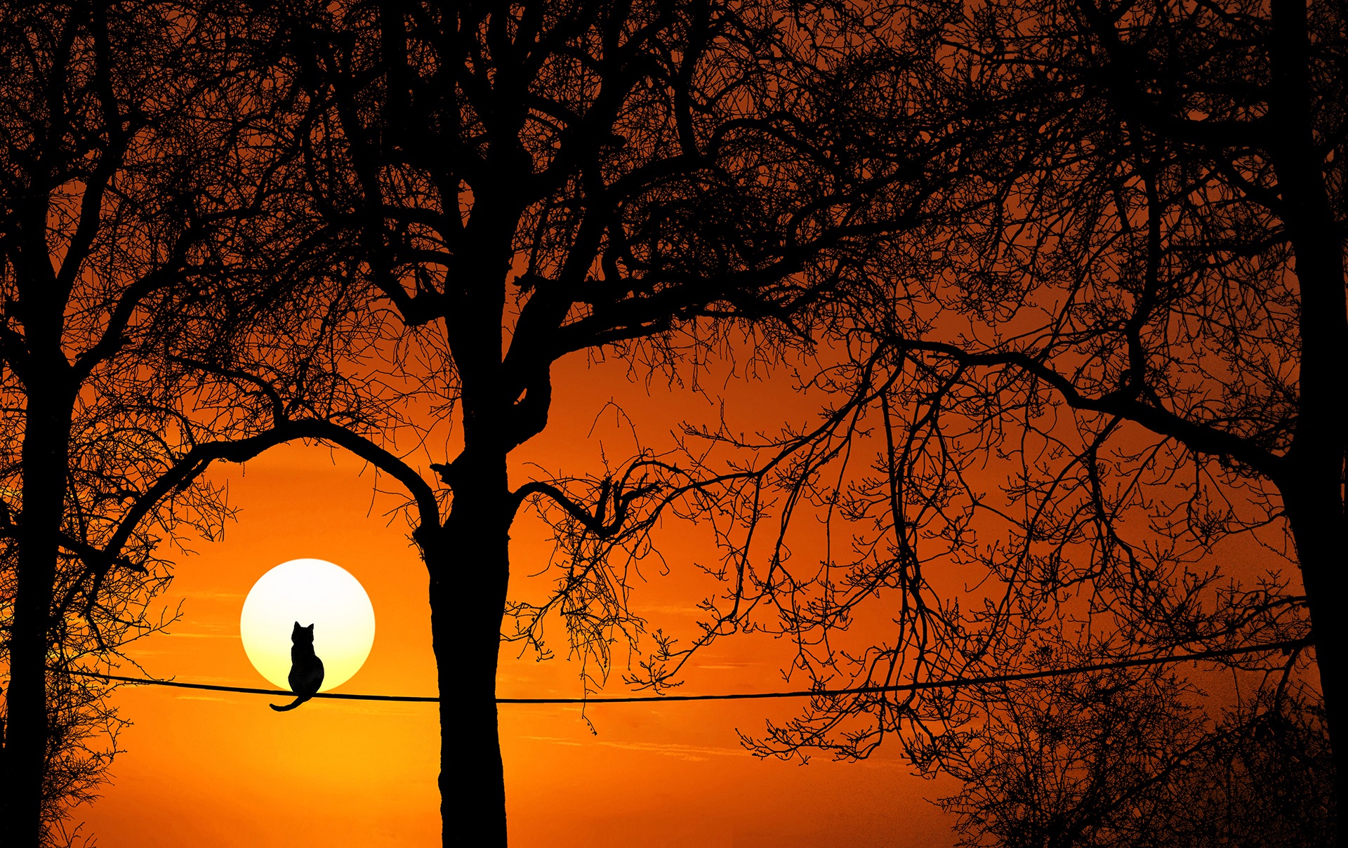 What if the Sun Vanished Now?